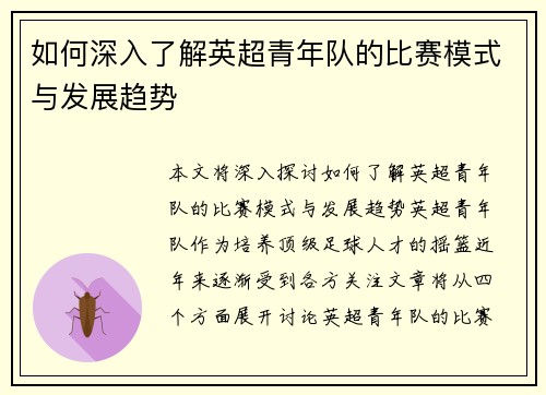 如何深入了解英超青年队的比赛模式与发展趋势 如何深入了解英超青年队的比赛模式与发展趋势